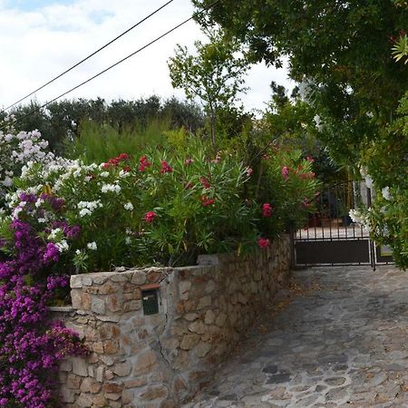Apartment Les Moulins Saint Tropez Exteriér fotografie